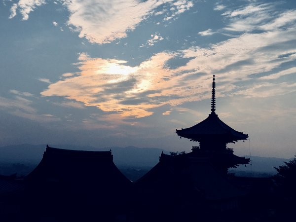 IMG_0925.jpeg