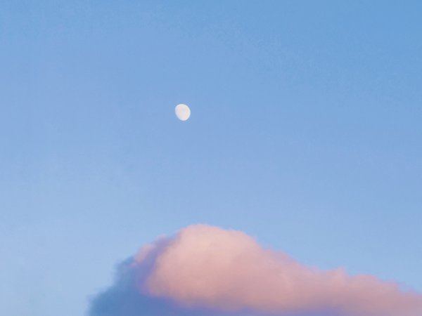 IMG_7390.jpeg