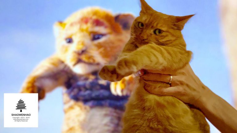 COS狮子王？可是江山神马的本喵不Care！