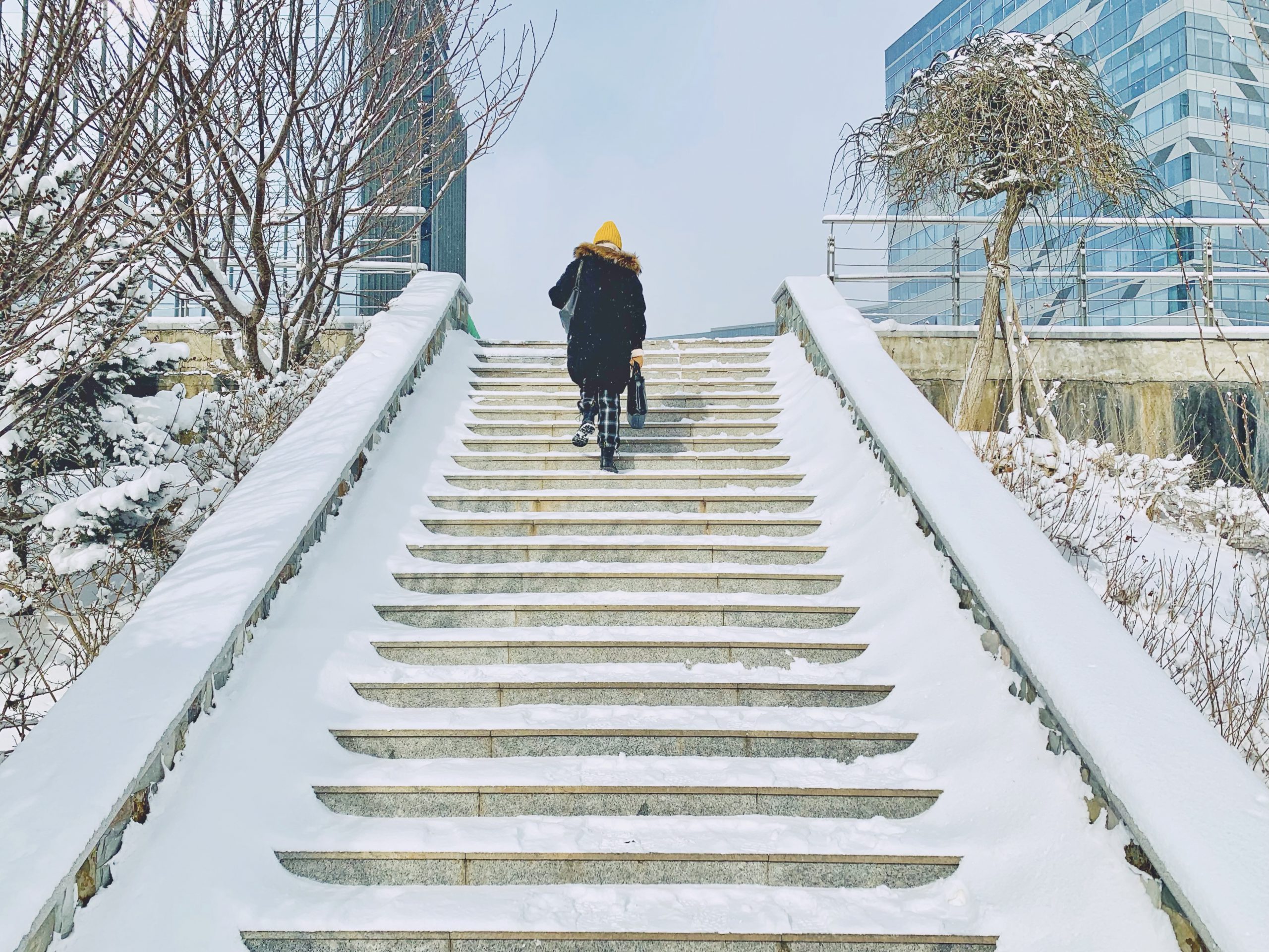 初雪