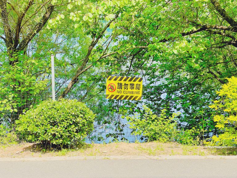 金龙寺国家森林公园