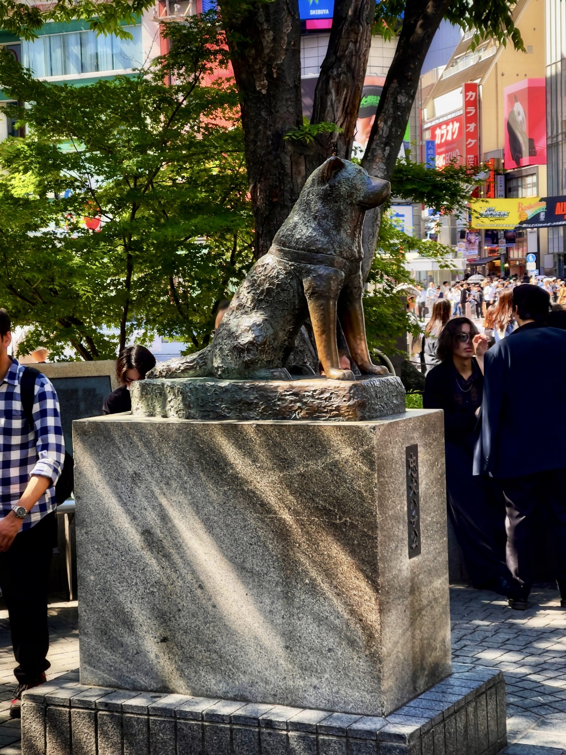 涩谷 忠犬八公香