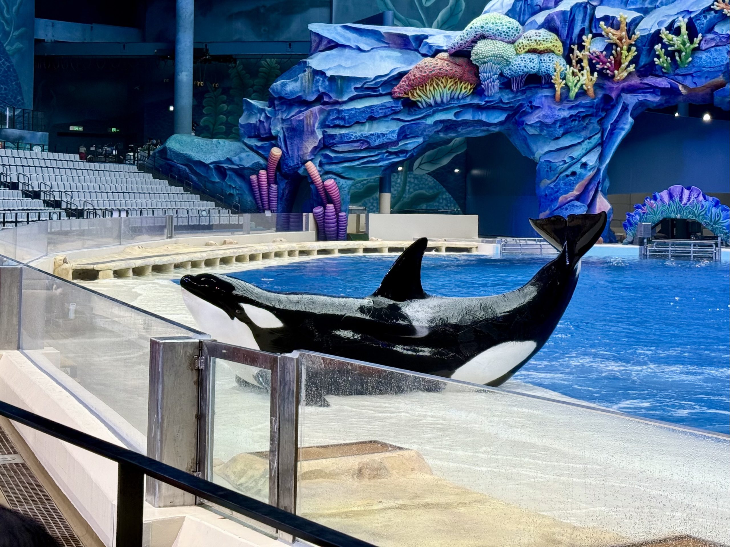 长隆飞船乐园