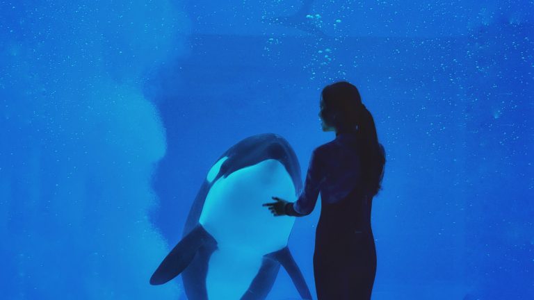 珠海长隆 海洋馆里的童年