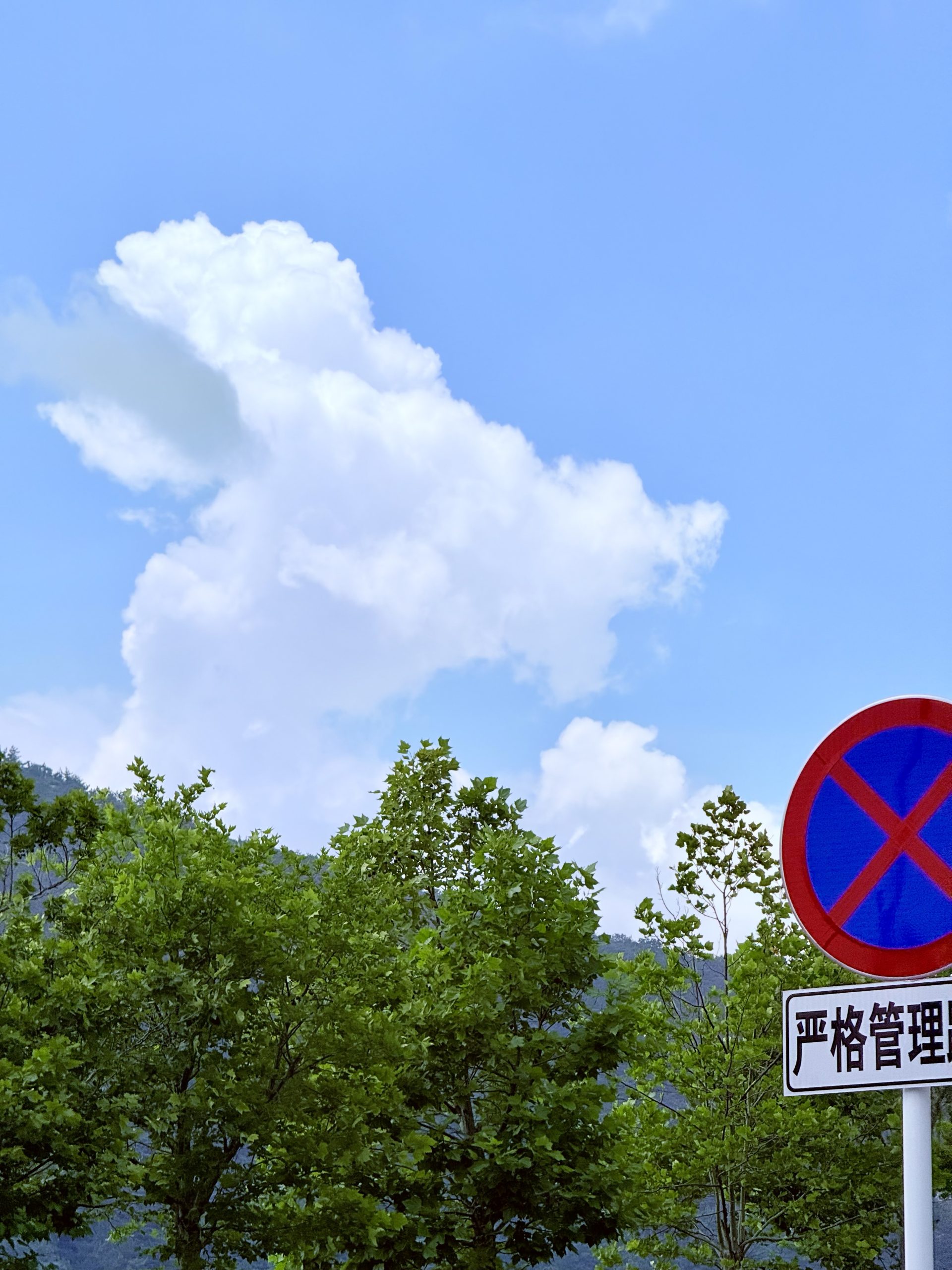 美团小袋鼠