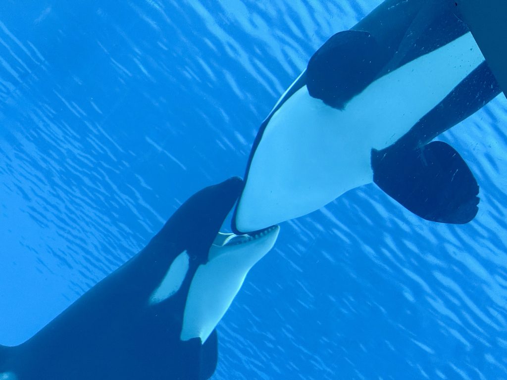 珠海长隆飞船乐园