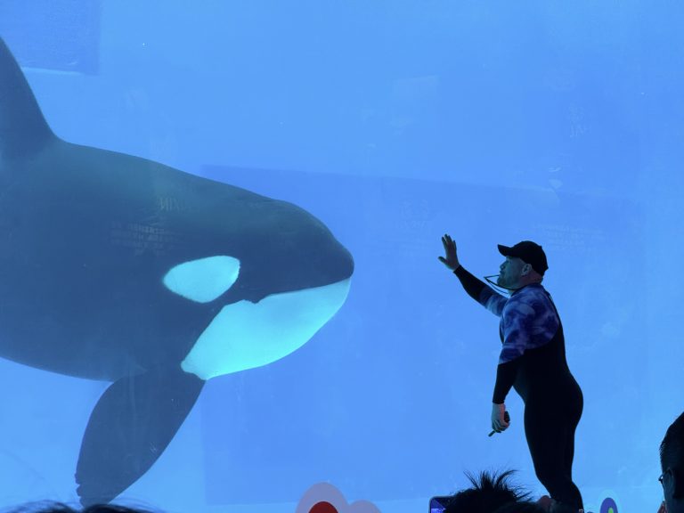 珠海长隆飞船乐园