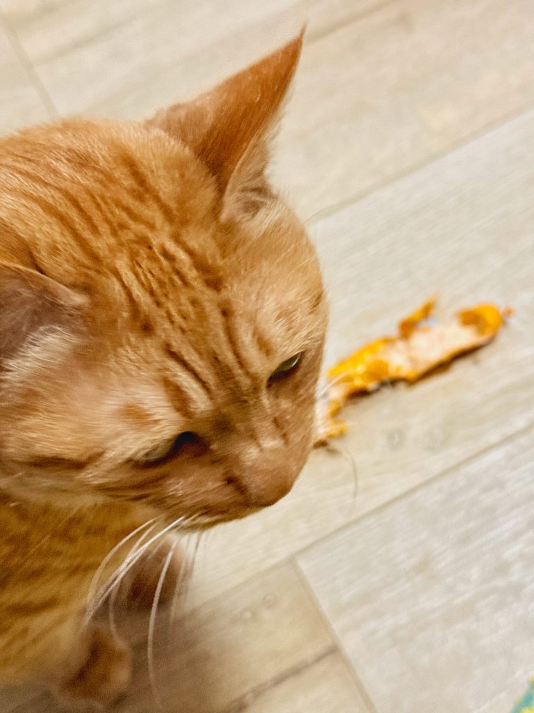 你最好给我一个解释