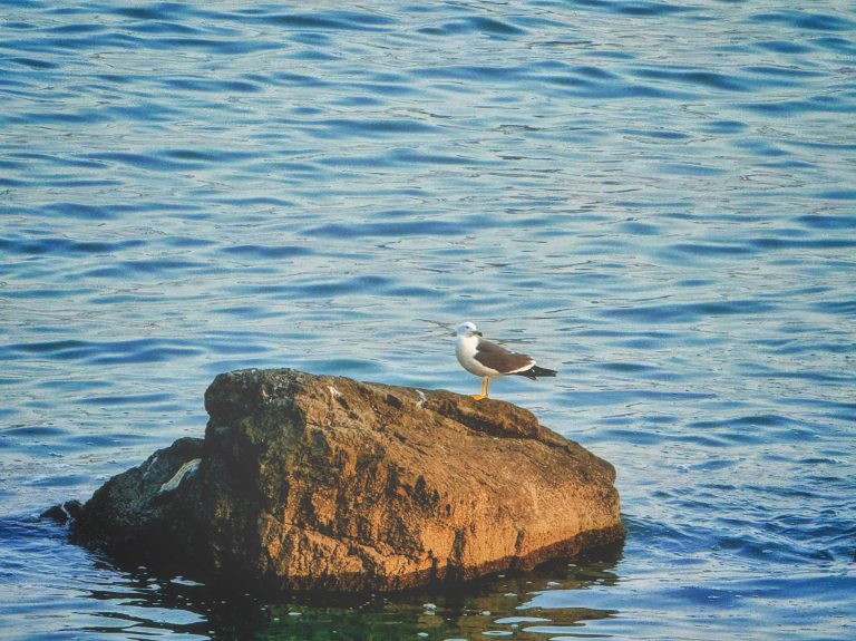 大连自然博物馆